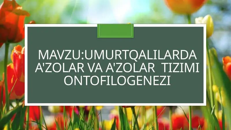 Mavzu:Umurtqalilarda a'zolar va a'zolar  tizimi ontofilogenezi