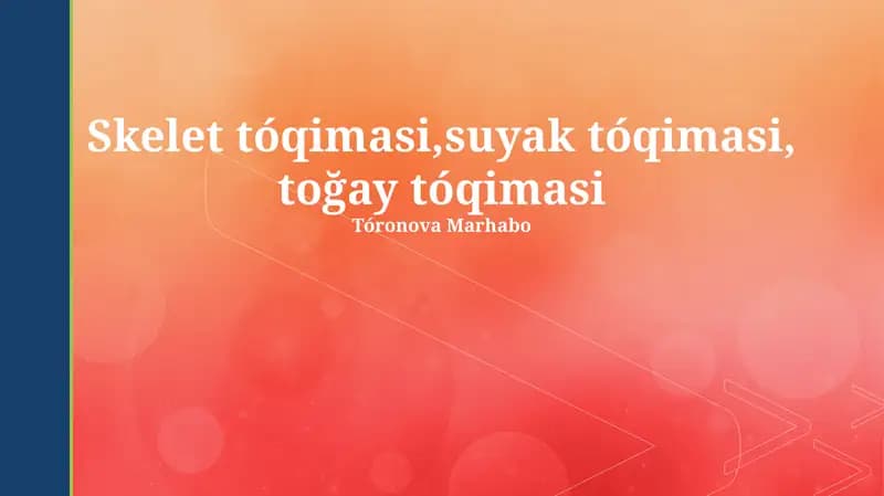 Skelet tóqimasi, suyak tóqimasi, toğay tóqimasi