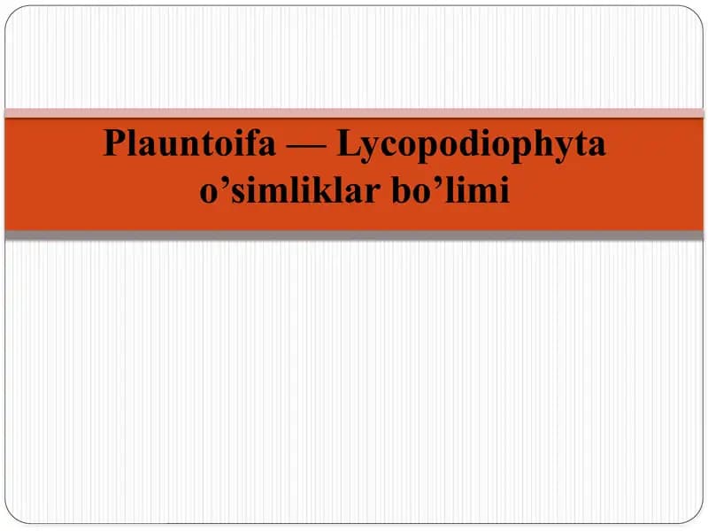 Plauntoifa — Lycopodiophyta bo’limi