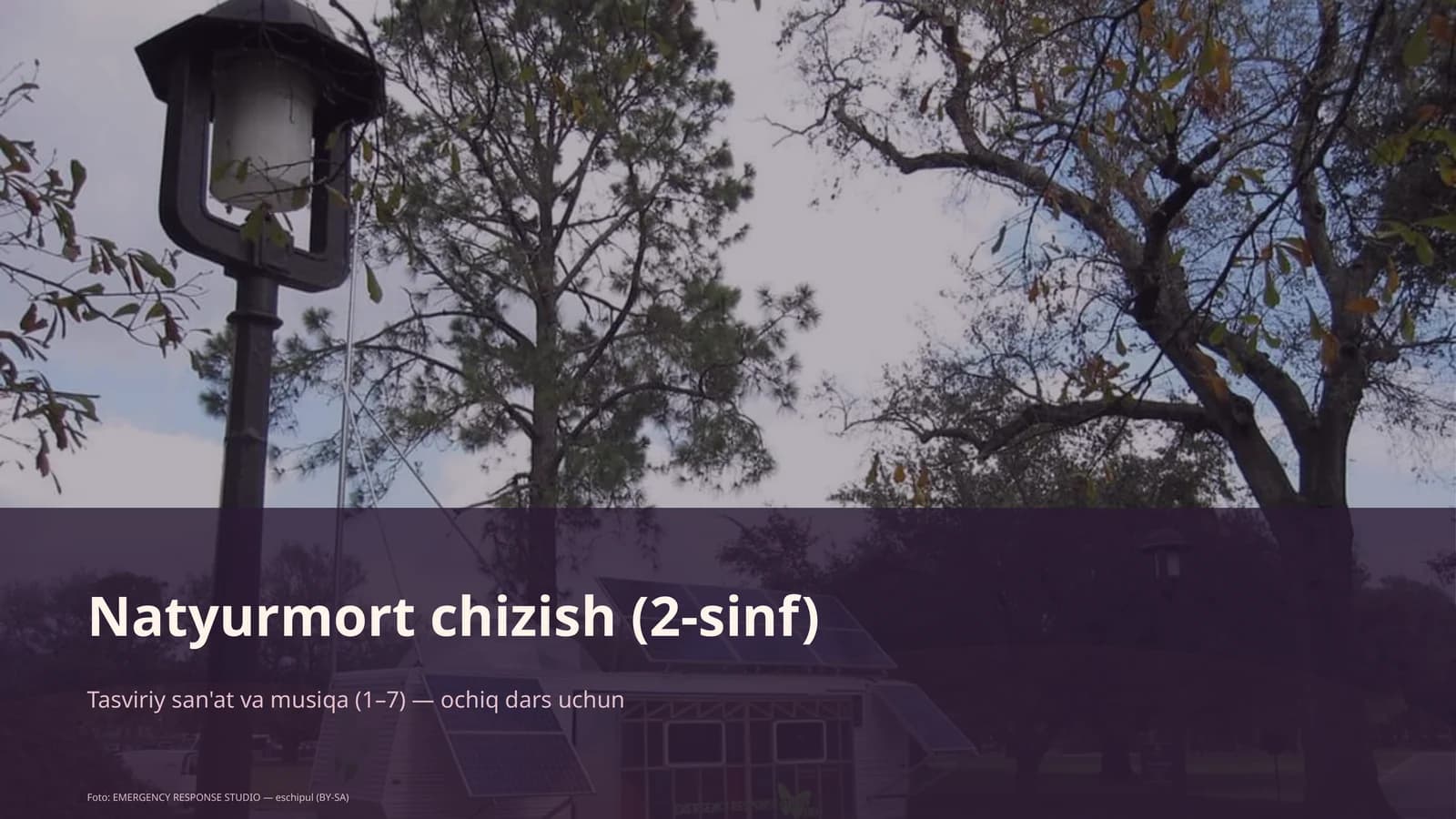Natyurmort chizish (2-sinf)