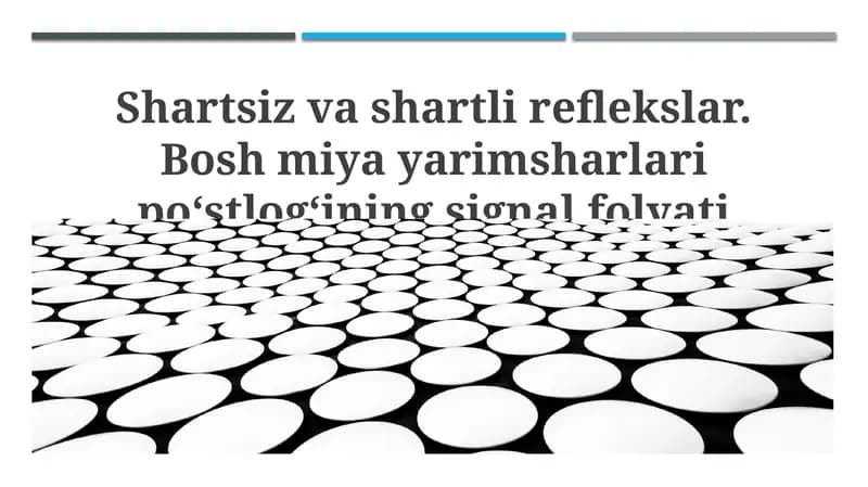 Shartsiz va shartli reflekslar