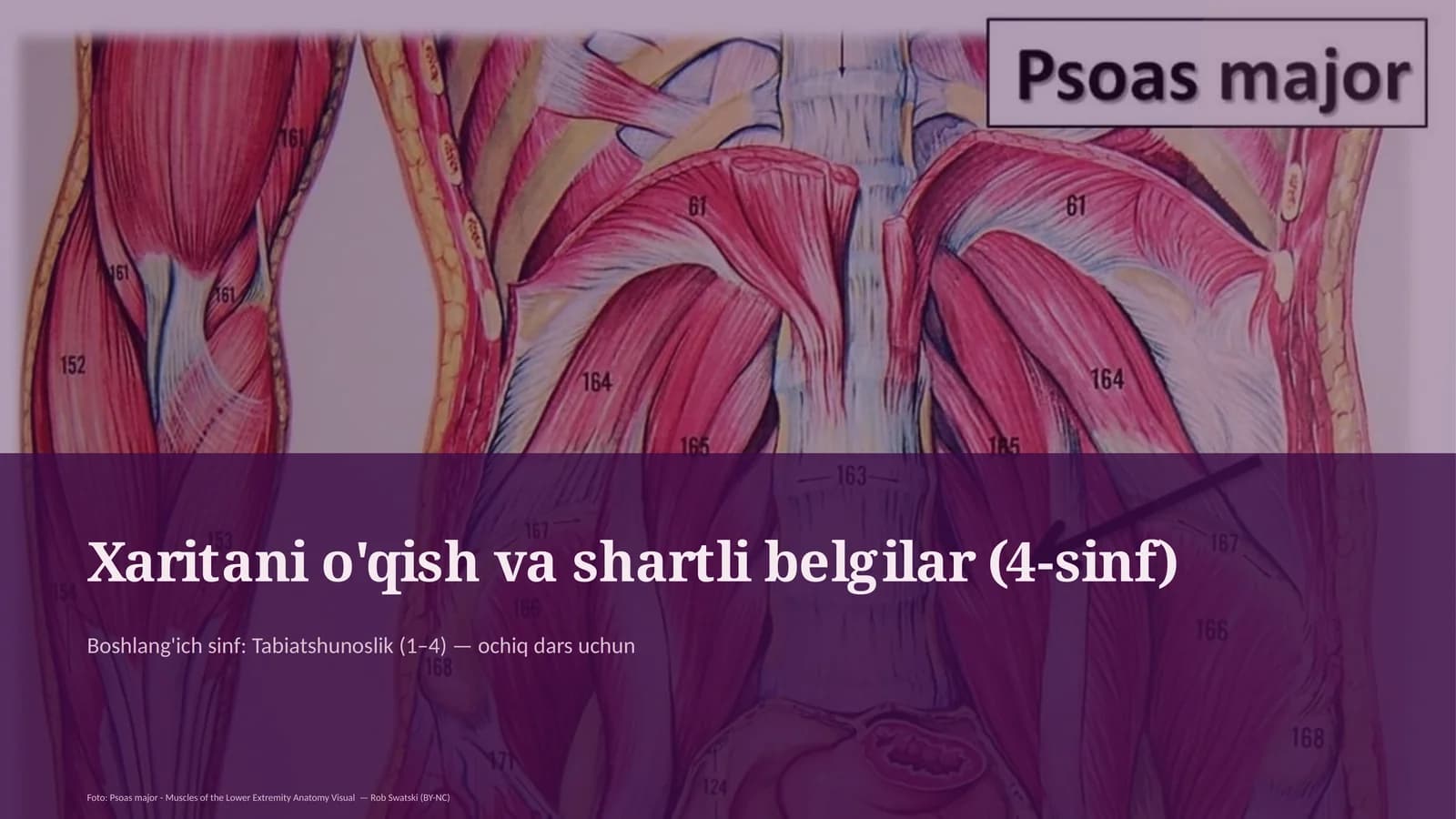 Xaritani o'qish va shartli belgilar (4-sinf)