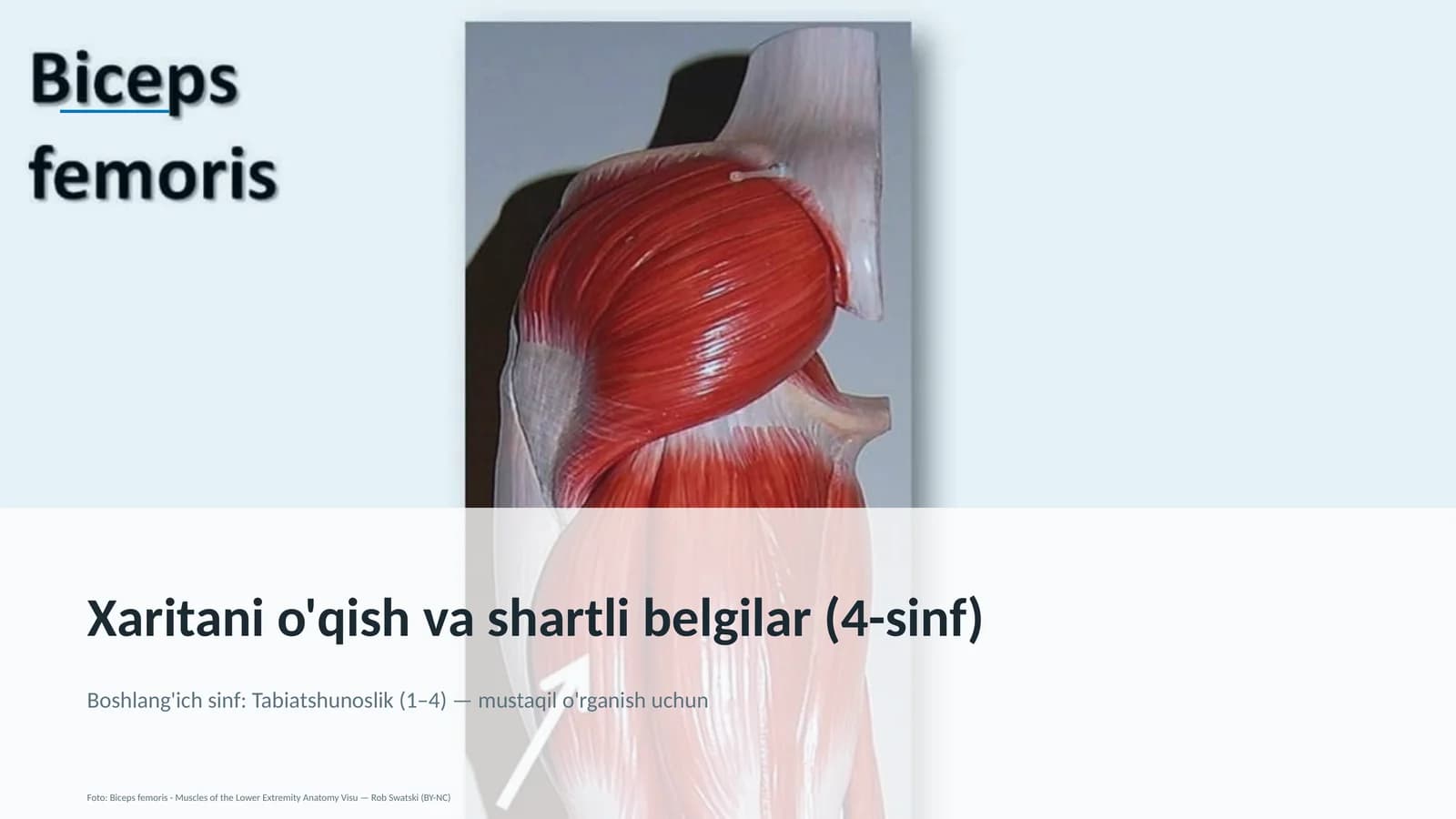Xaritani o'qish va shartli belgilar (4-sinf)
