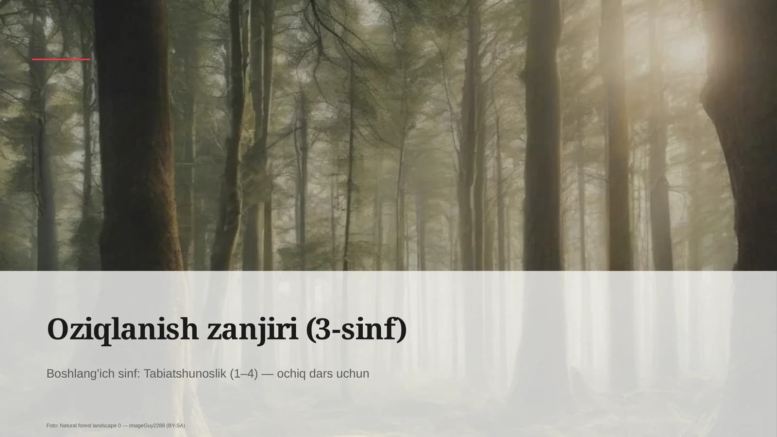 Oziqlanish zanjiri (3-sinf)