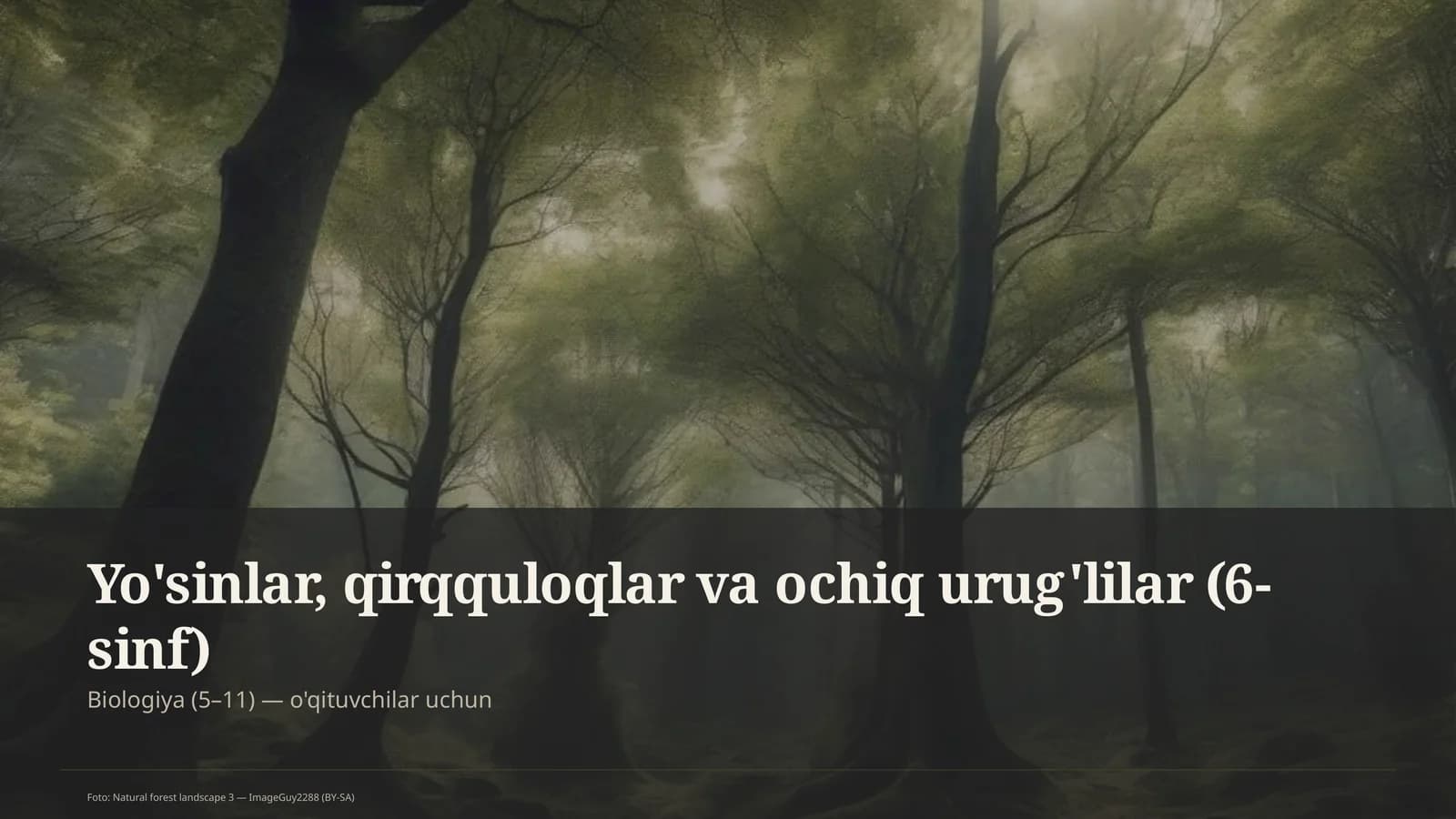 Yo'sinlar, qirqquloqlar va ochiq urug'lilar (6-sinf)