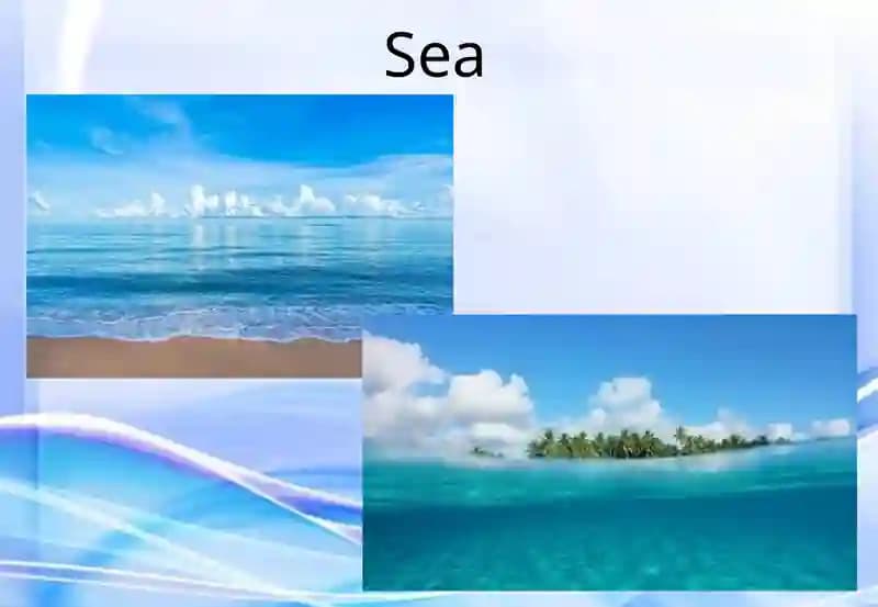 Sea
