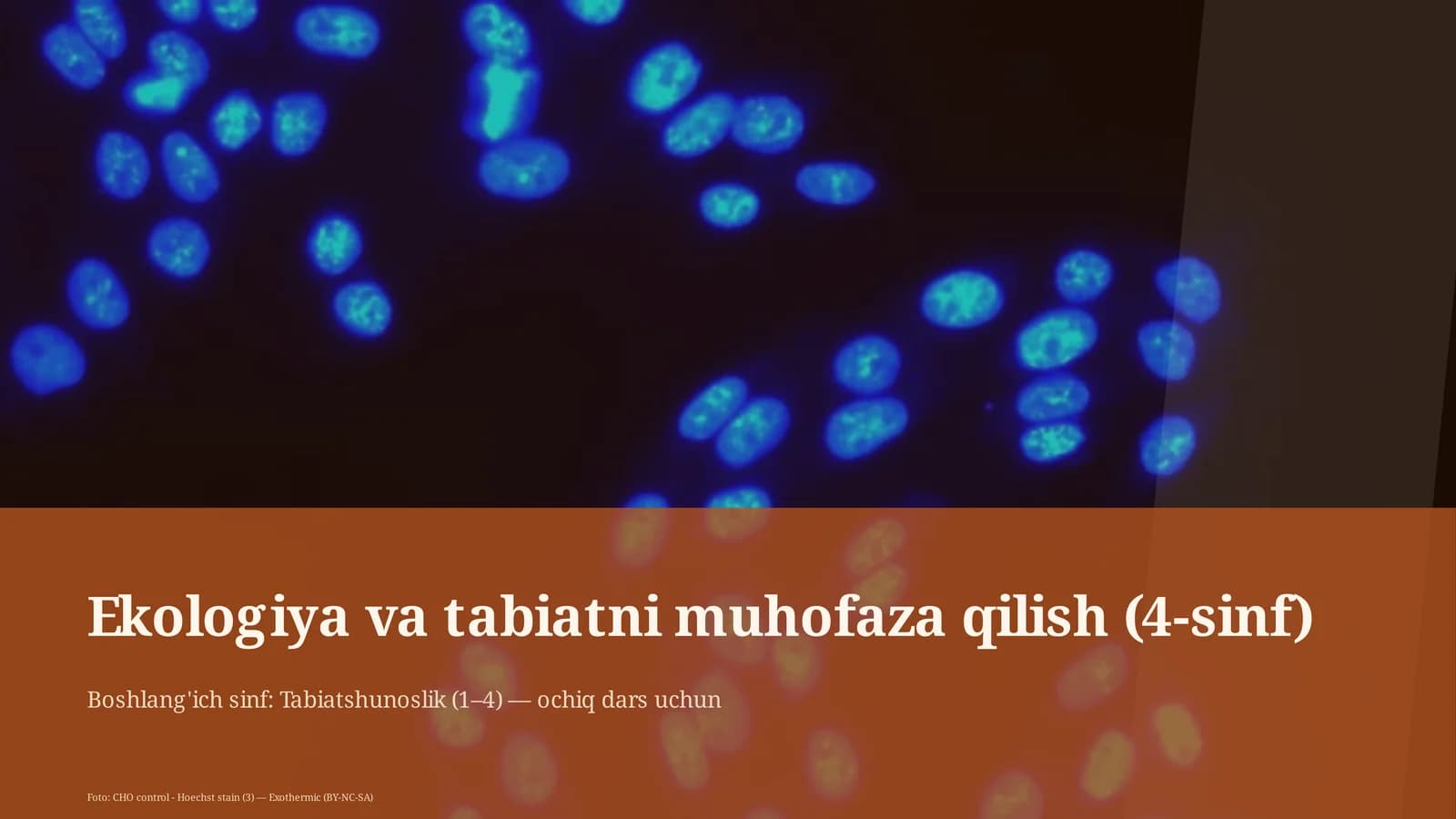Ekologiya va tabiatni muhofaza qilish (4-sinf)