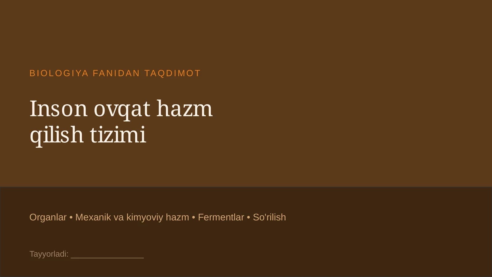 Insonning ovqat hazm qilish tizimi