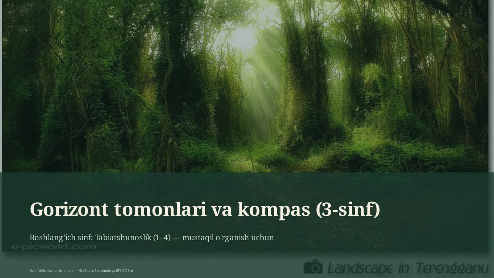 Gorizont tomonlari va kompas (3-sinf)