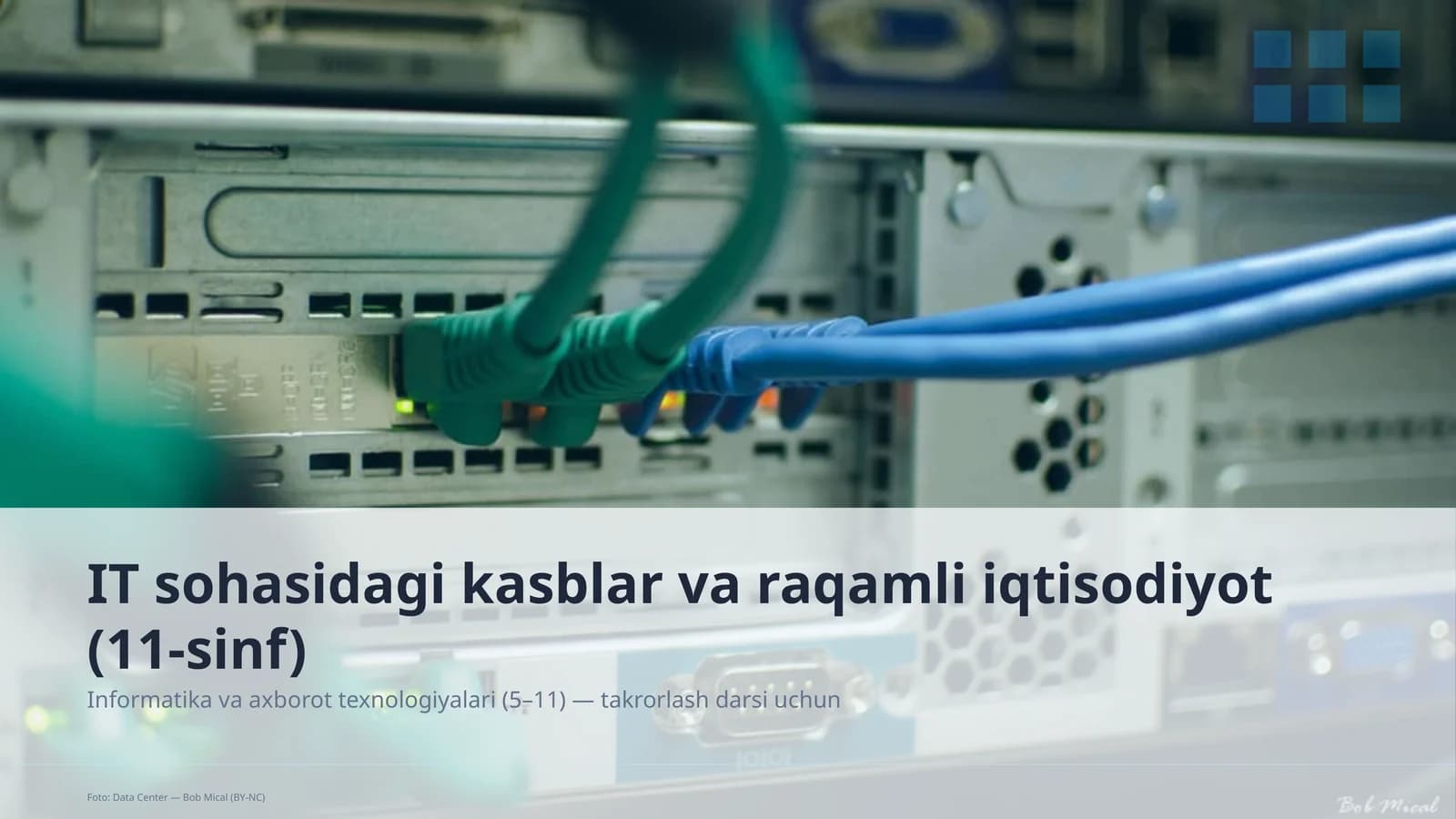 IT sohasidagi kasblar va raqamli iqtisodiyot (11-sinf)