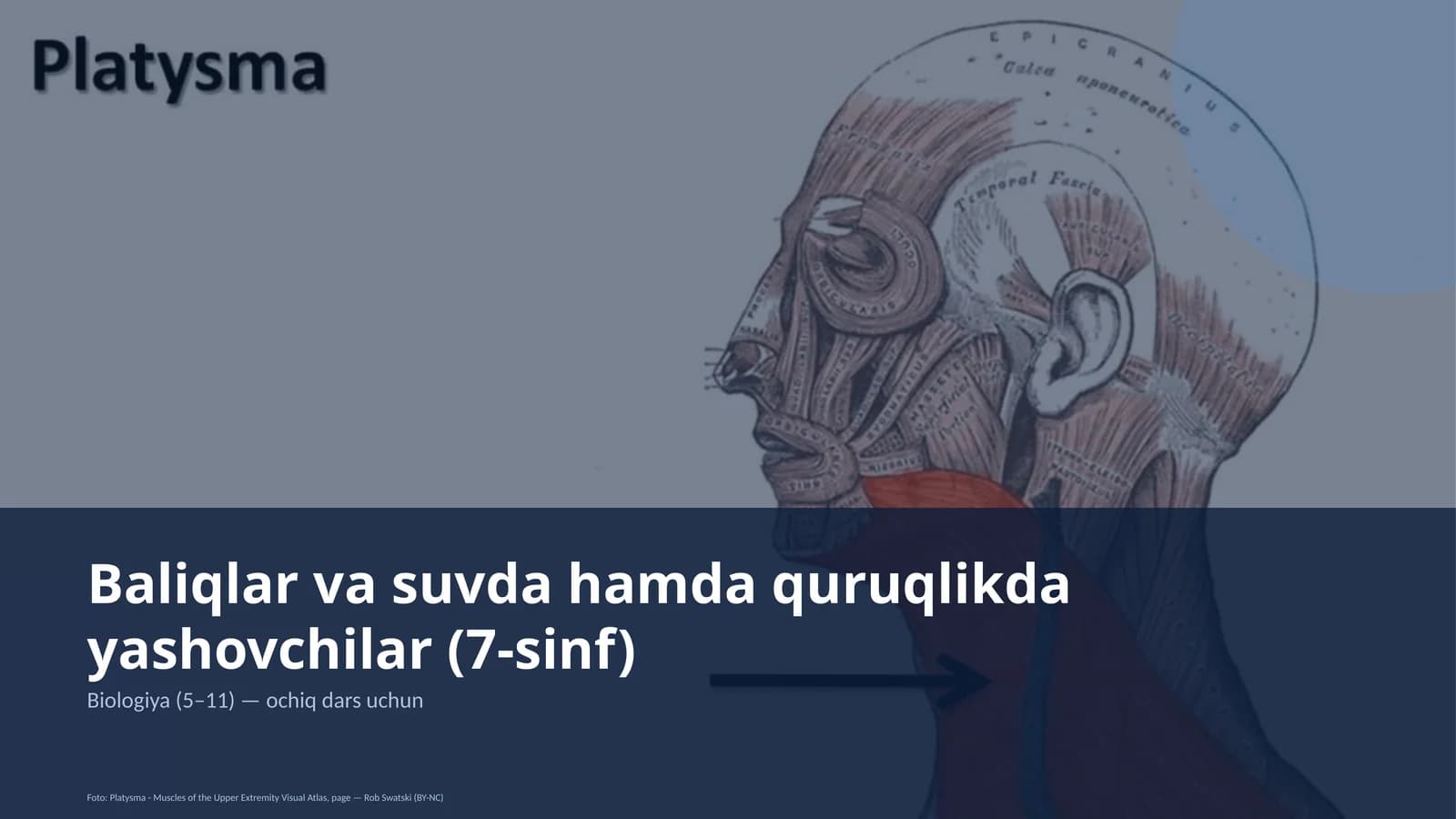 Baliqlar va suvda hamda quruqlikda yashovchilar (7-sinf)