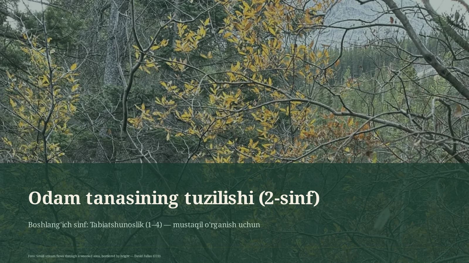 Odam tanasining tuzilishi (2-sinf)