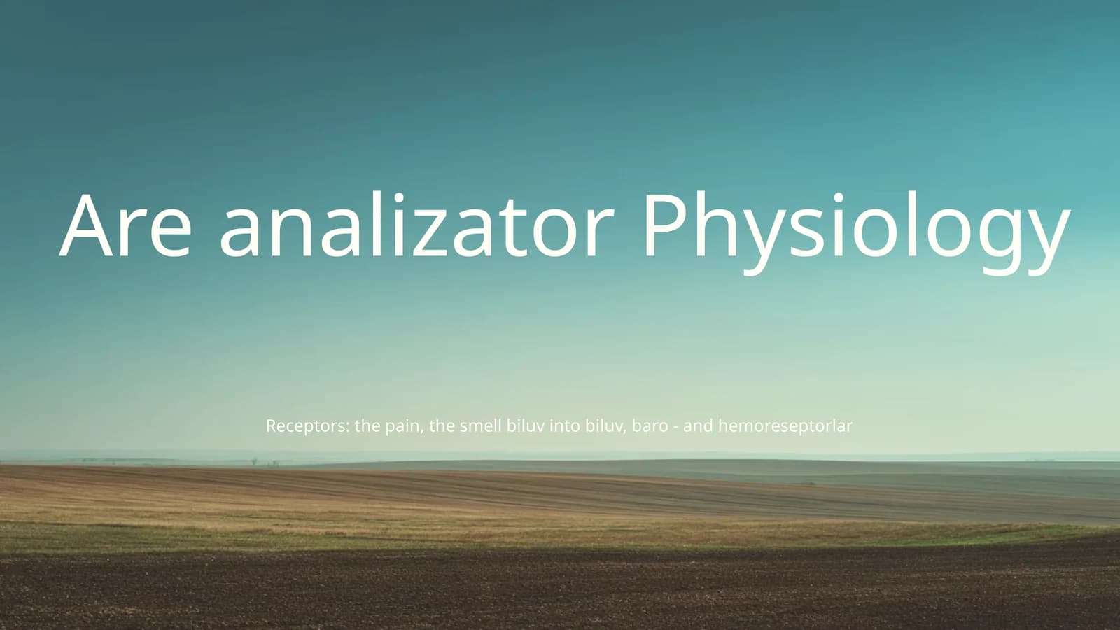 Analizator system
