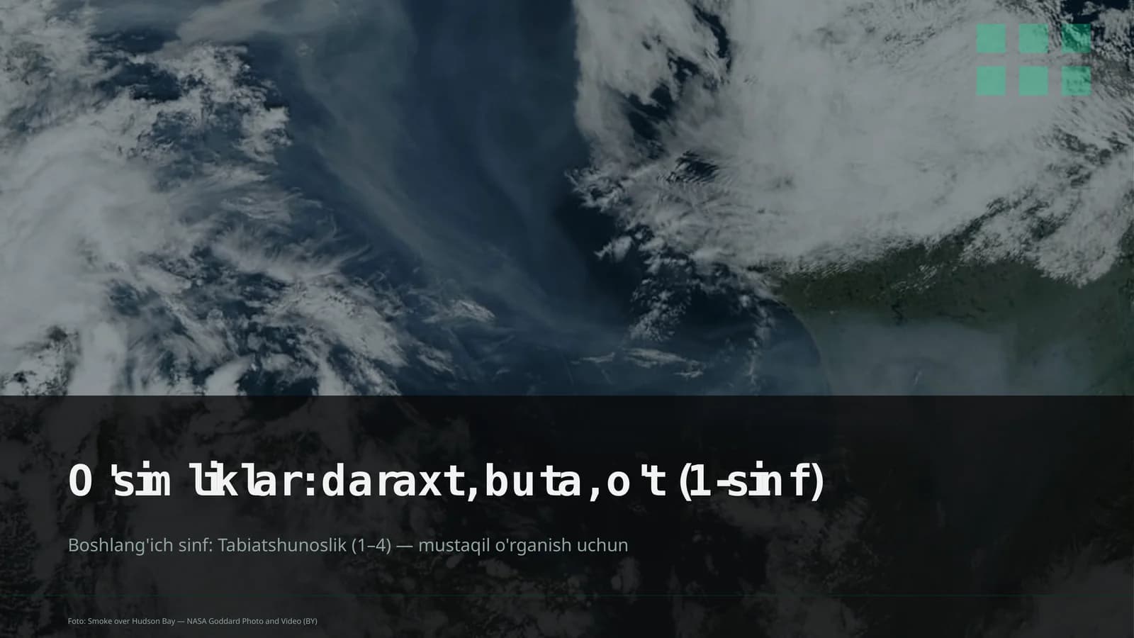 O'simliklar: daraxt, buta, o't (1-sinf)
