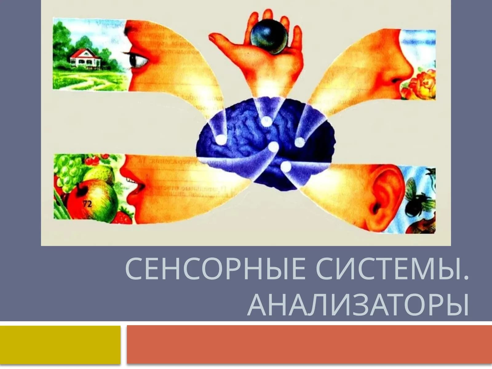 Анализатор