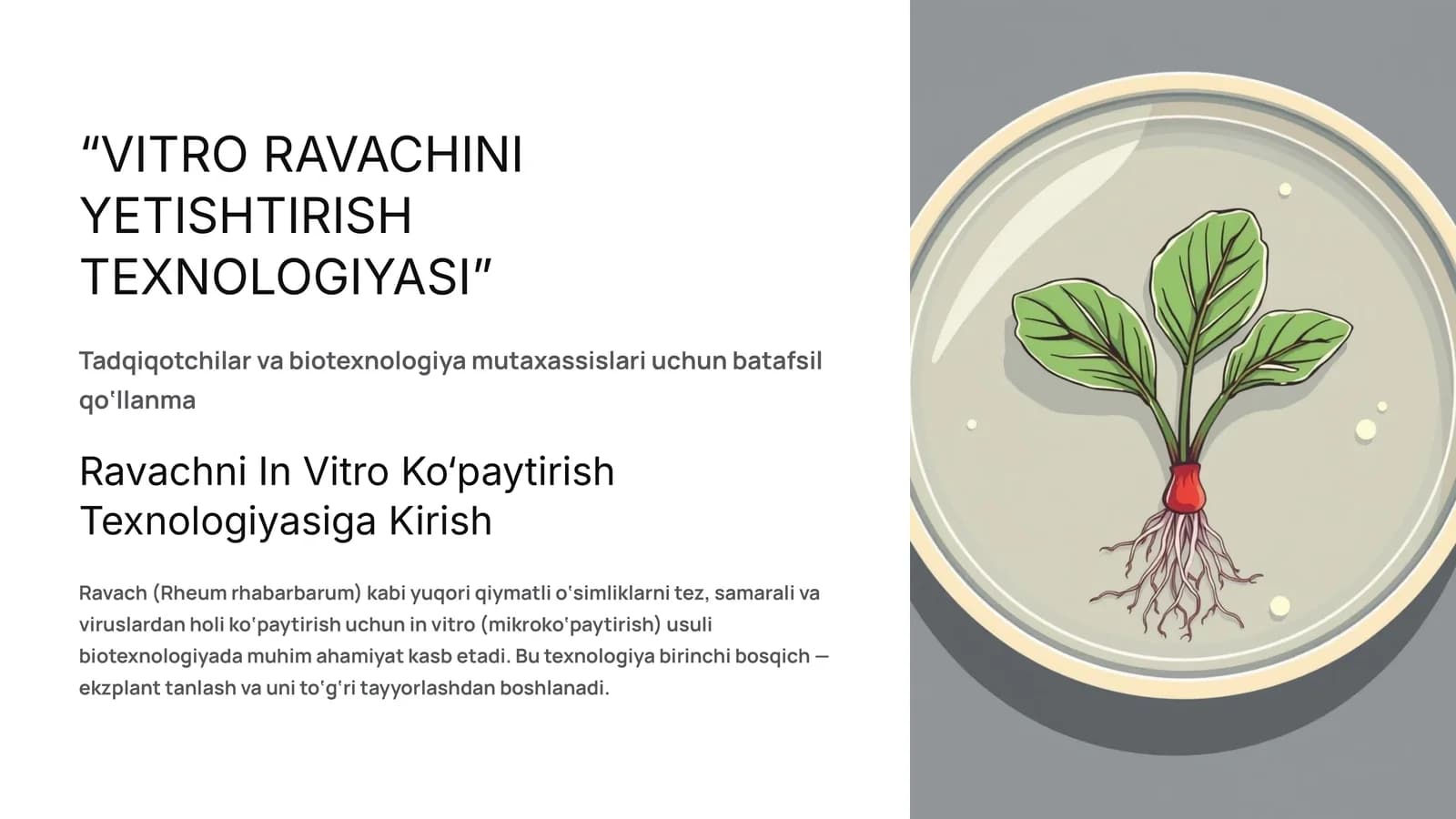 VITRO RAVACHINI YETISHTIRISH TEXNOLOGIYASI