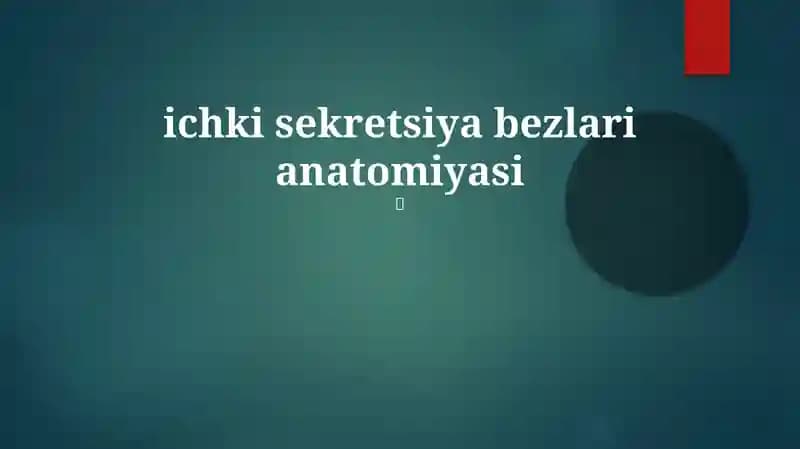 Endokrin bezlari