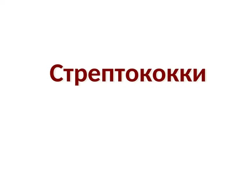 Стрептококки