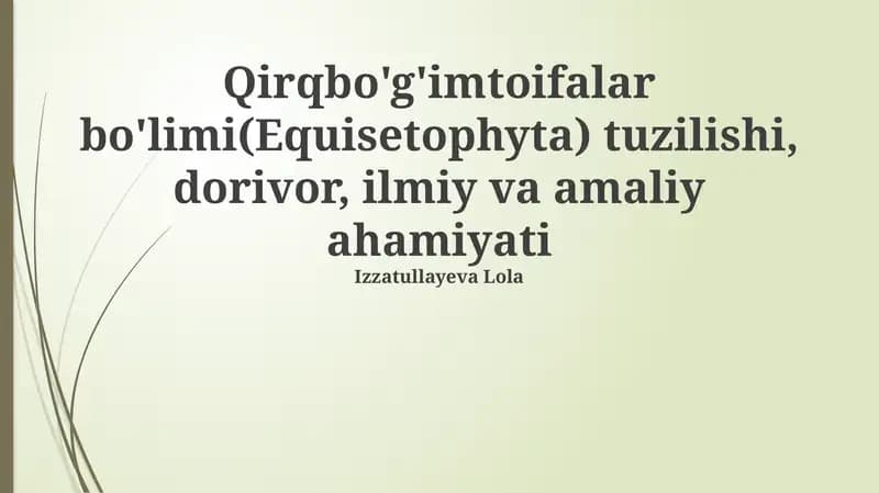 Equisetophyta