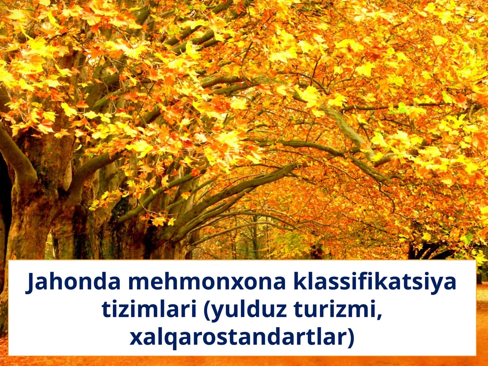 Jahonda mehmonxona klassifikatsiya tizimlari (yulduz turizmi, xalqarostandartlar)