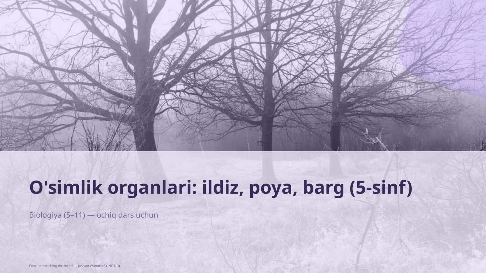 O'simlik organlari: ildiz, poya, barg (5-sinf)