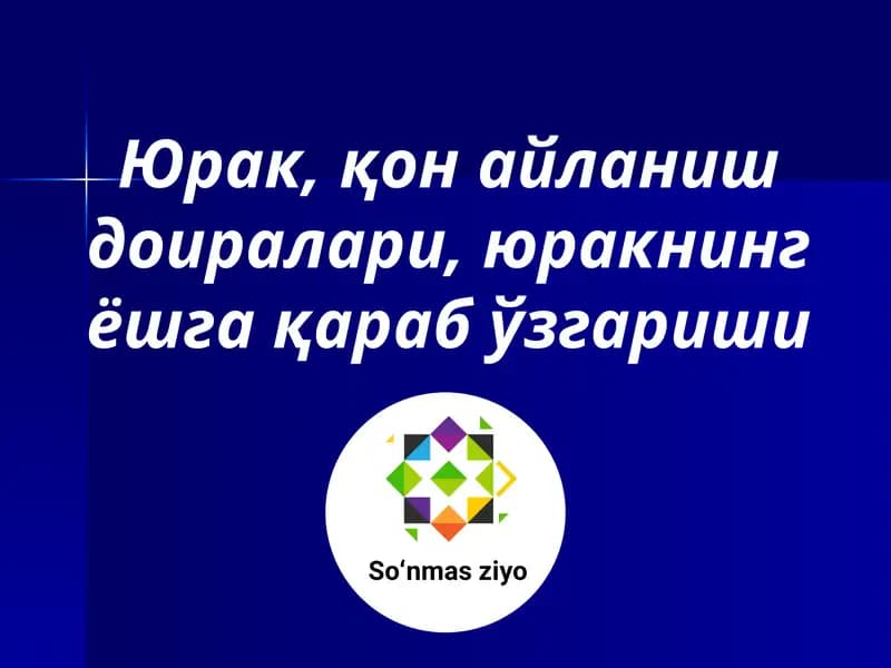 Юрак, қон айланиш доиралари, юракнинг ёшга қараб ўзгариши