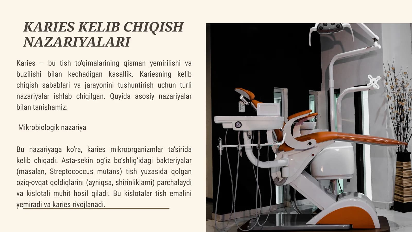 Mikrobiologik nazariya