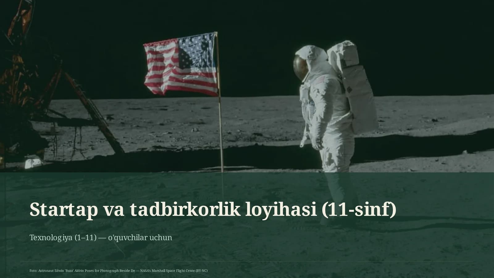 Startap va tadbirkorlik loyihasi (11-sinf)
