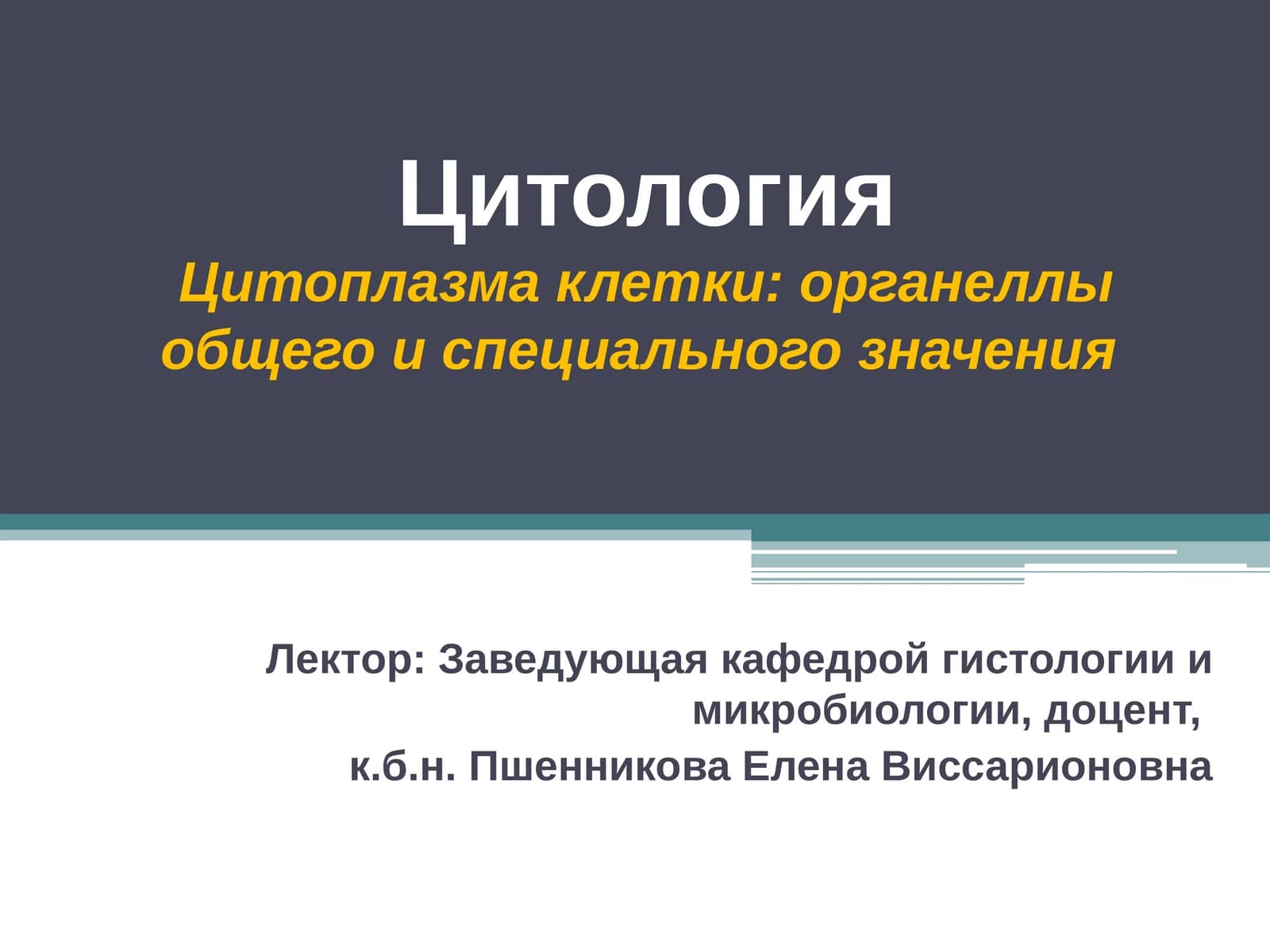 Цитоплазма клетки: органеллы общего и специального значения
