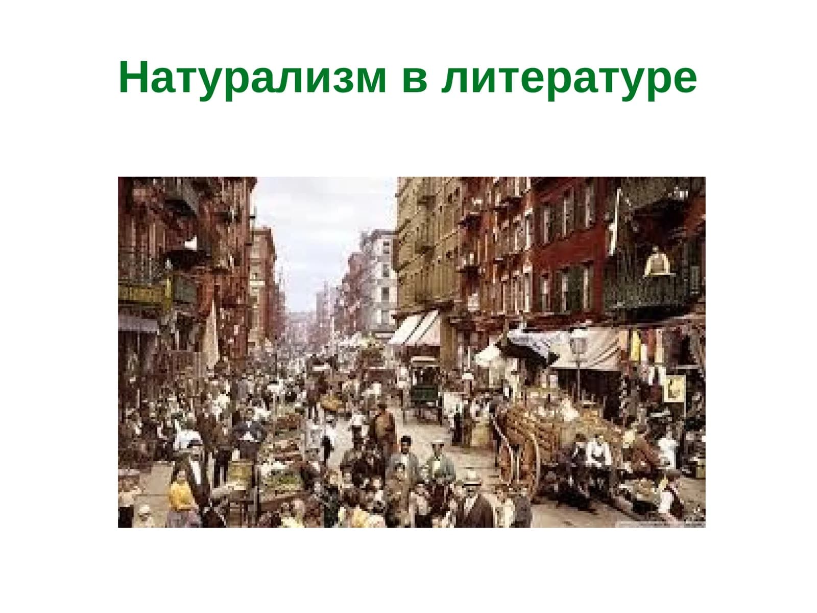 Натурализм в литературе