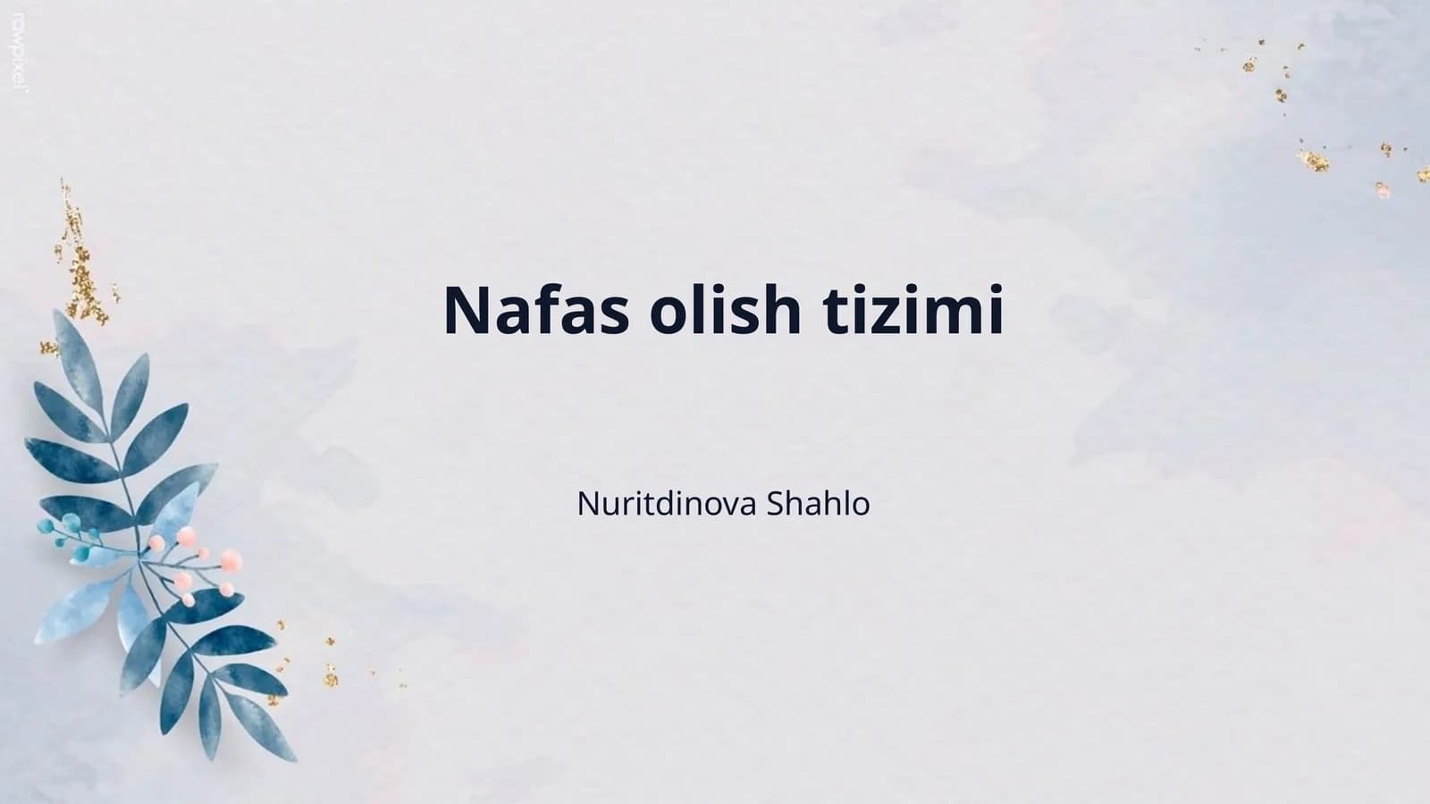 Nafas olish tizimi