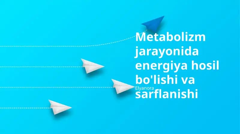 Metabolizm jarayonida energiya hosil bo'lishi va sarflanishi