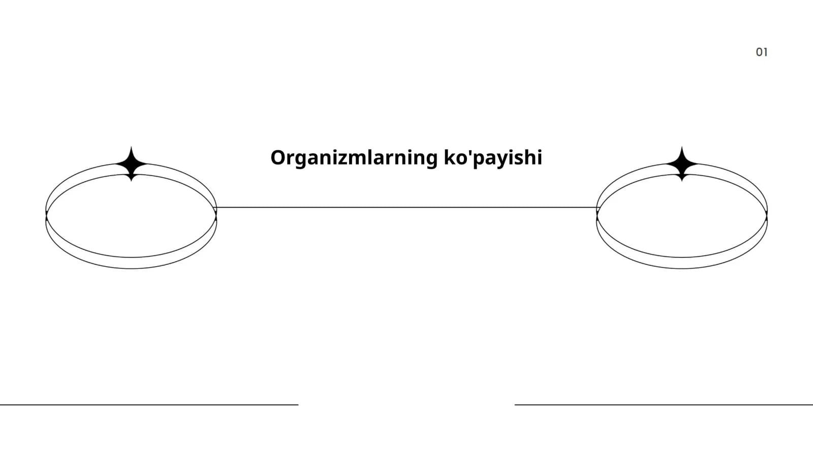 Organizmlarning ko'payishi