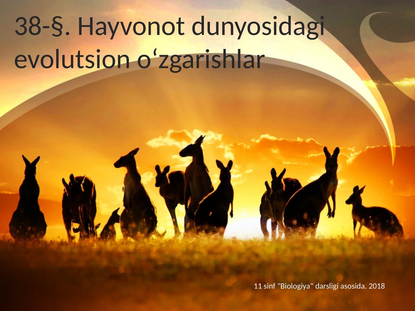 38-§.Hayvonot dunyosidagi evolutsion o‘zgarishlar