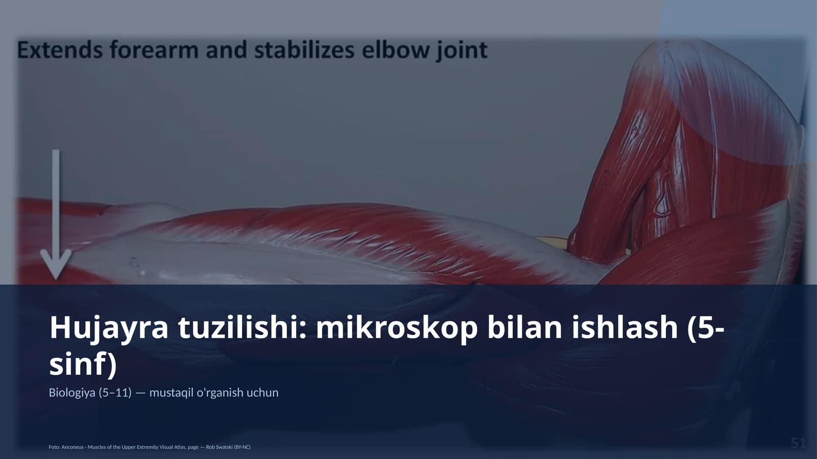 Hujayra tuzilishi: mikroskop bilan ishlash (5-sinf)