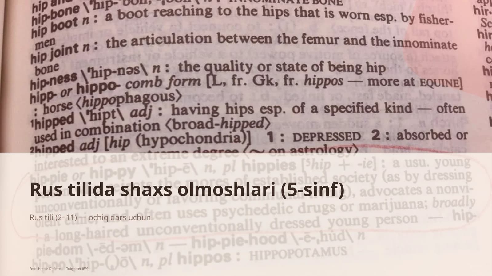 Rus tilida shaxs olmoshlari (5-sinf)