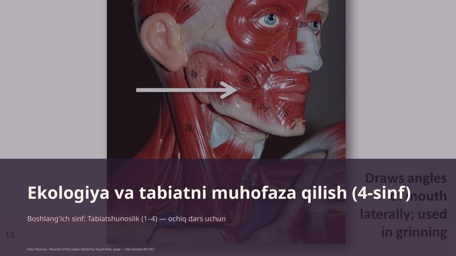 Ekologiya va tabiatni muhofaza qilish (4-sinf)