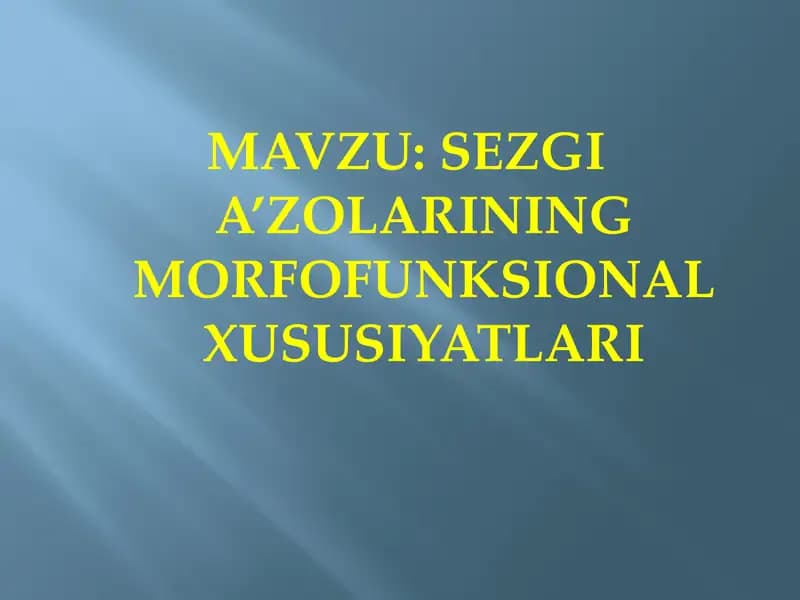 SEZGI A’ZOLARINING MORFOFUNKSIONAL XUSUSIYATLARI