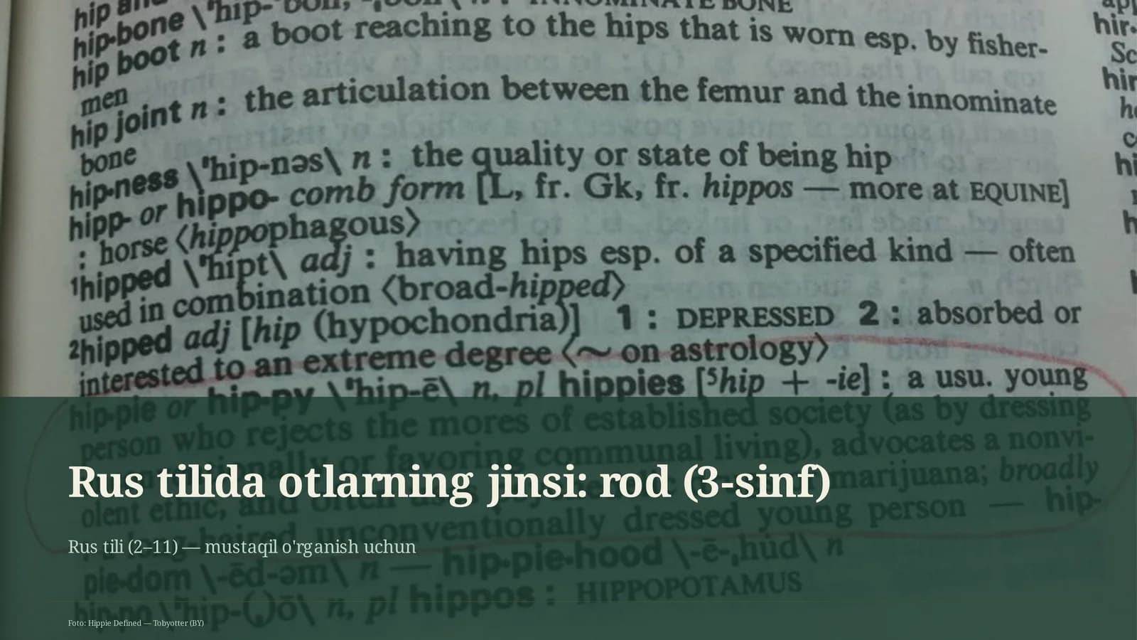 Rus tilida otlarning jinsi: rod (3-sinf)