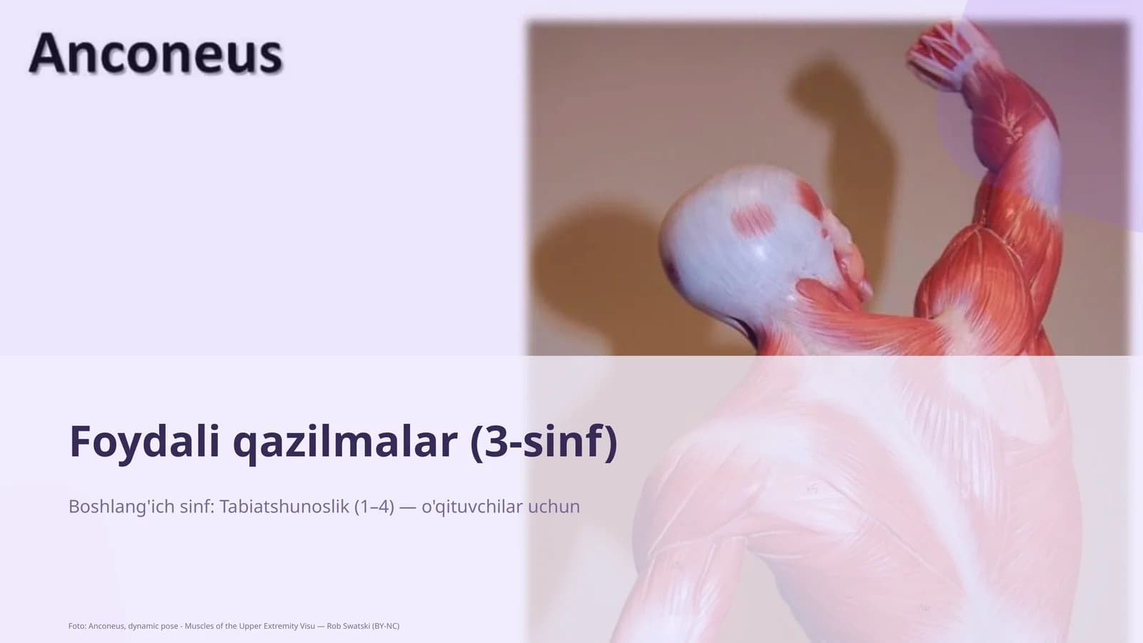 Foydali qazilmalar (3-sinf)