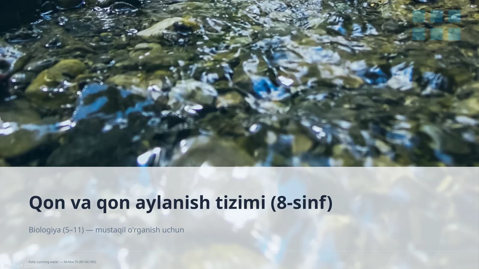 Qon va qon aylanish tizimi (8-sinf)