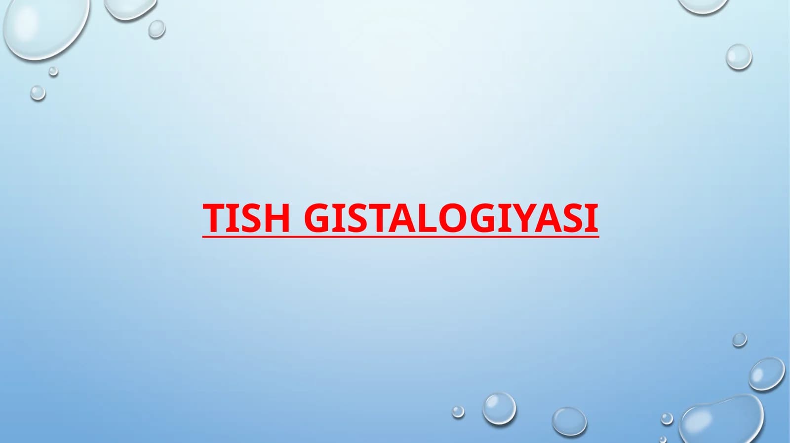 TISH GISTALOGIYASI