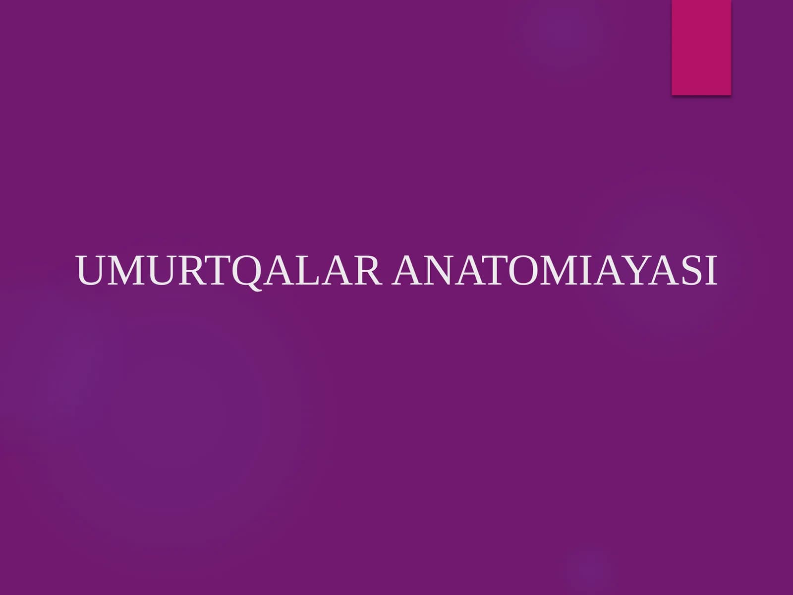 UMURTQALAR ANATOMIYASI PREZENTATSIYA