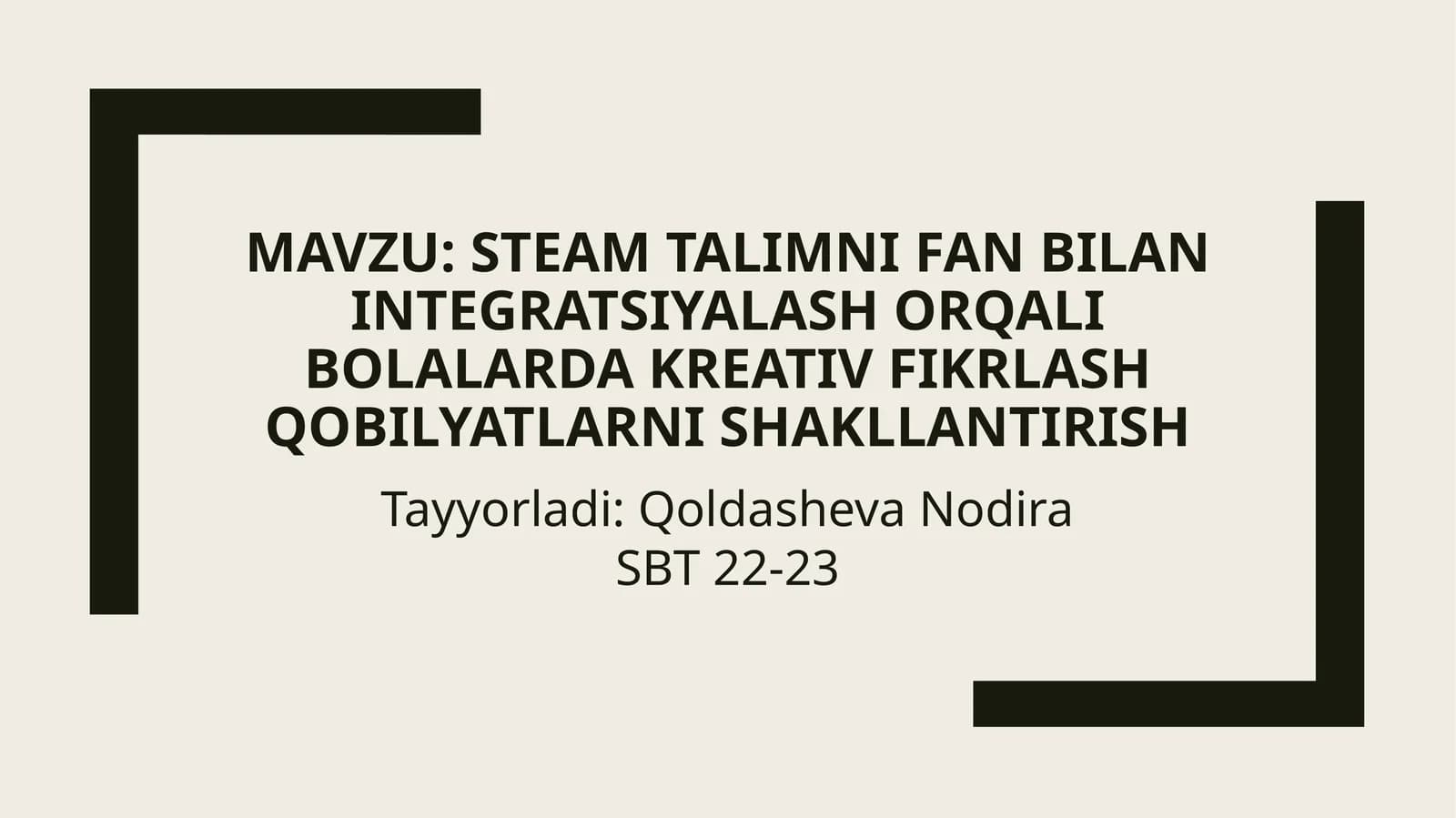 STEAM tilimi