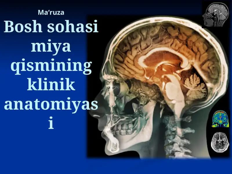 Bosh sohasi miya qismining klinik anatomiyasi
