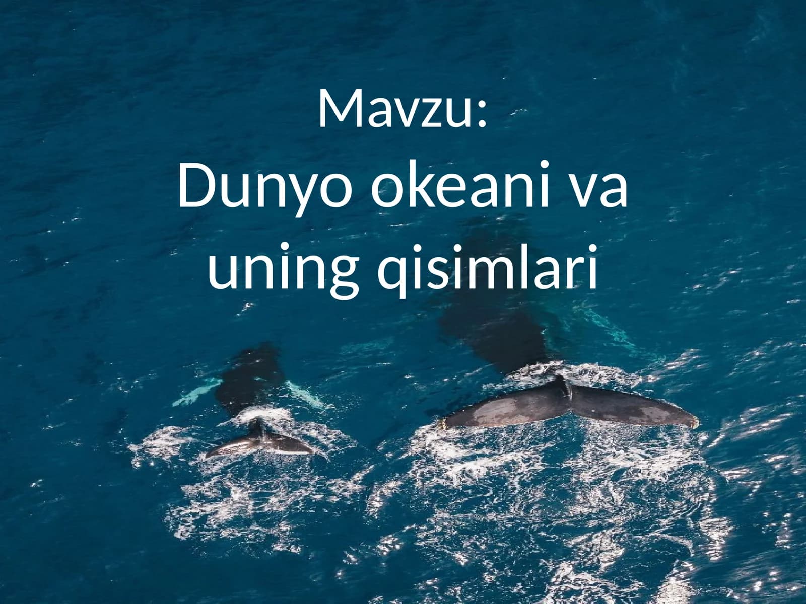 Dunyookeanivauningqisimlari