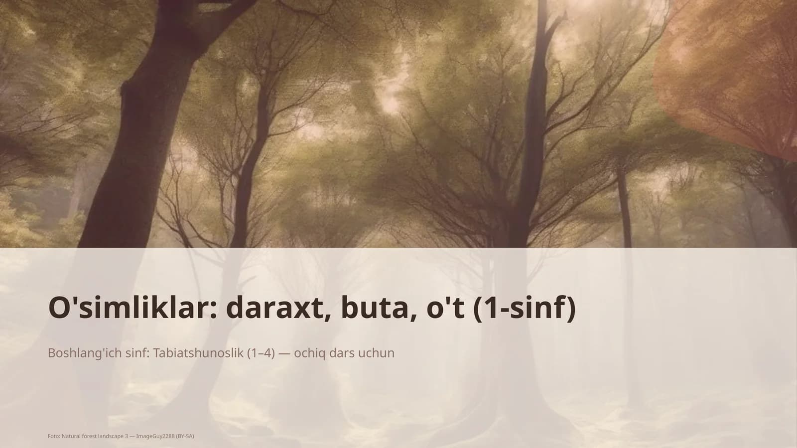 Daraxt, buta, o't mavzusi