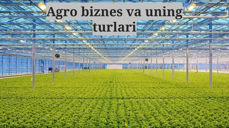 Agrobiznes va uning turlari