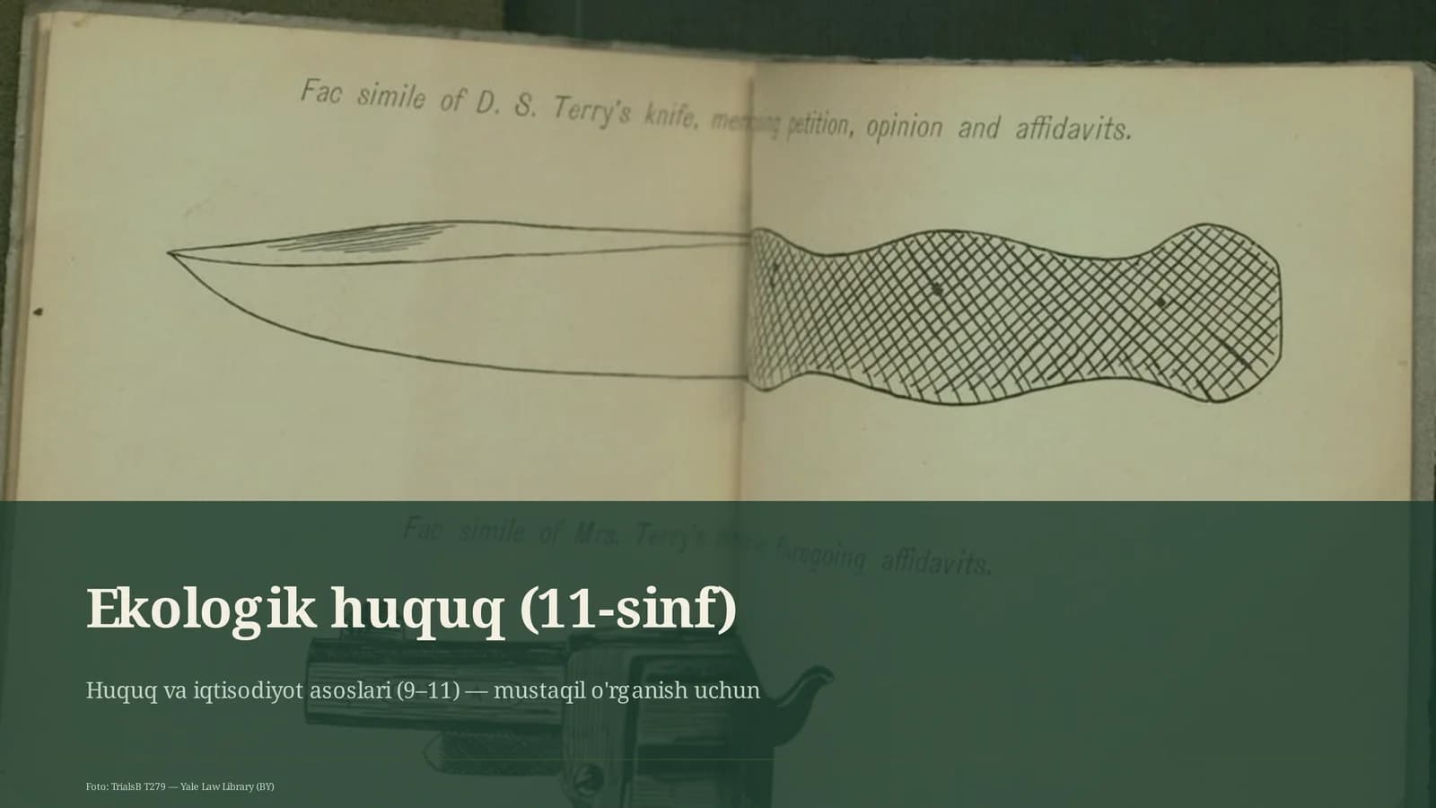 Ekologik huquq (11-sinf)