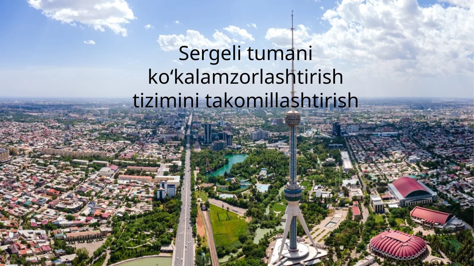 Sergeli tumani ko‘kalamzorlashtirish va  tizimini takomillashtirish
